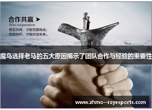 魔鸟选择老马的五大原因揭示了团队合作与经验的重要性