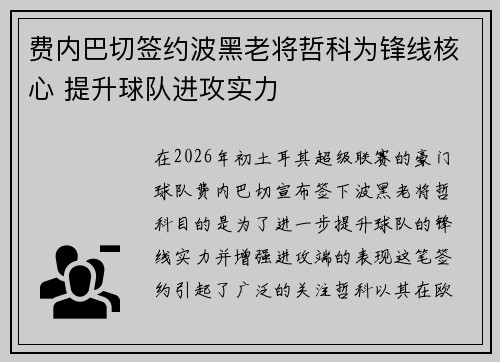 费内巴切签约波黑老将哲科为锋线核心 提升球队进攻实力 费内巴切签约波黑老将哲科为锋线核心 提升球队进攻实力